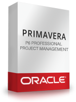 Primavera P6 Pro Project Mgt